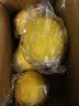 佳沛（zespri）绿奇异果经典果2粒 单果约89-102g 水果猕猴桃 源头直发 实拍图