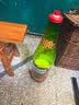 乌苏啤酒（wusu）大乌苏8.88L鲜啤范丞丞同款 聚会宴请轰趴庆祝 京东自营 中秋送礼 实拍图