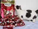 弗列加特猫粮 磷虾油美毛 全价鲜肉天然粮 幼猫粮乳鸽味2kg 实拍图