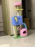 ZEZE【大号款】猫爬架猫窝猫树一体通天柱跳台大型不占地猫咪用品 实拍图