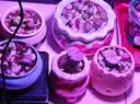 德沃多植物营养土通用8L园艺养花土种菜花卉绿植通用型疏松透气 实拍图