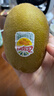 佳沛（zespri）新西兰 阳光金果25-27粒原箱特大果单果124-146g 猕猴桃水果礼盒 实拍图