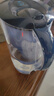 碧然德（BRITA）滤水壶滤芯 Maxtra+多效滤芯6只装 过滤器净水器滤芯 碧然德滤芯 可滤水150L 实拍图