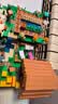 乐高（LEGO）积木我的世界21596 唤魔者村庄袭击男女孩儿童玩具生日礼物 实拍图