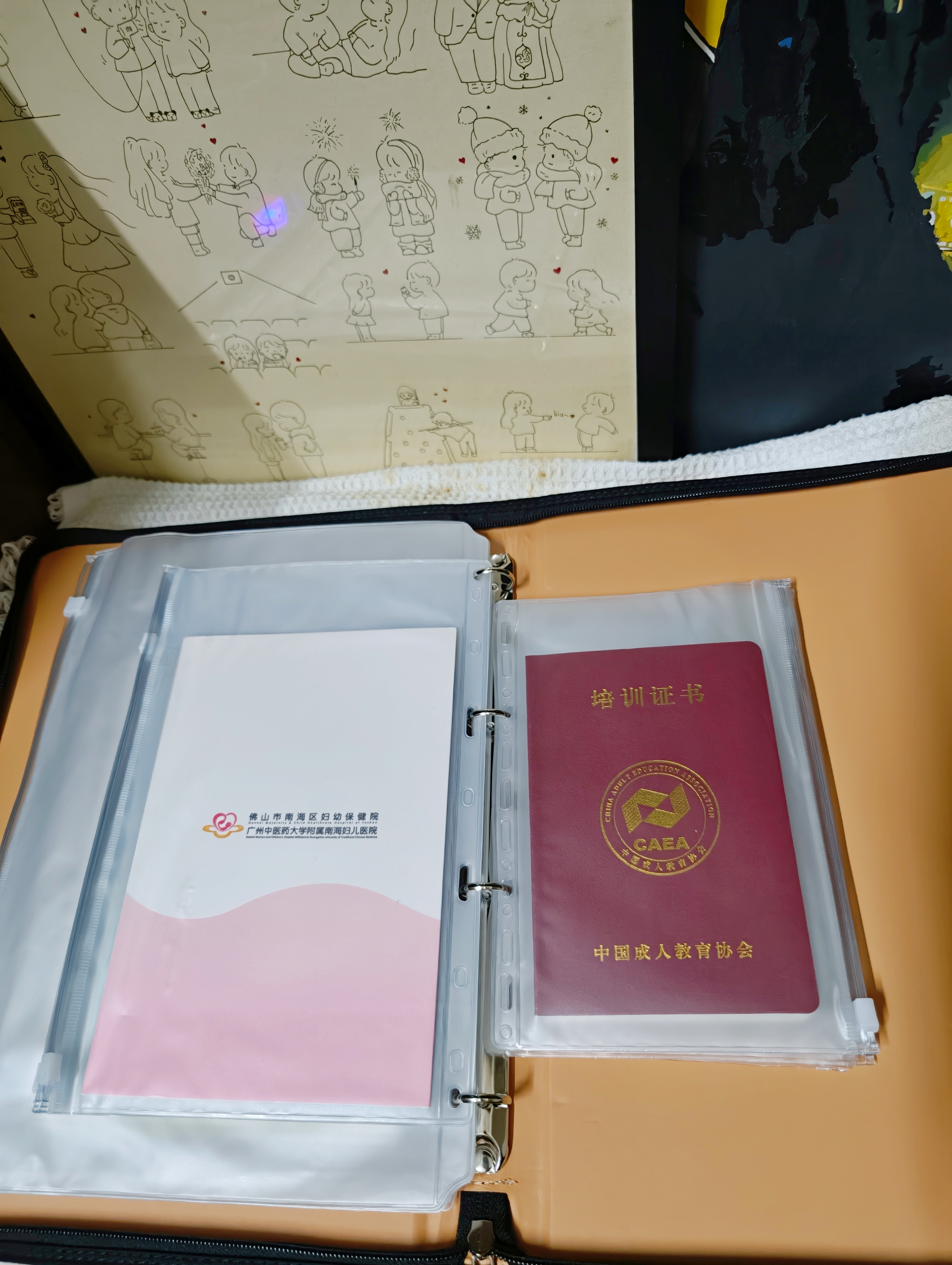 范爷家家用证件收纳包拉链袋出生证房产证户口本证书保护套合同收集册 实拍图