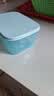 特百惠（Tupperware）缤纷冷冻700ml*4保鲜盒食品级冰箱储物盒肉类速冻速解密封不串味 实拍图
