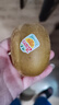 佳沛（zespri）新西兰 阳光金奇异果12粒特大果单果124-146g 猕猴桃水果礼盒 实拍图