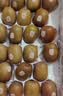 佳沛（zespri）新西兰阳光金奇异果16粒礼盒经典果单果 88-103g  猕猴桃水果礼盒 实拍图