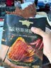 良品铺子安格斯薄脆牛肉脆片牛脆脆牛排脆牛肉干肉脯休闲零食大礼包解馋 【10包正装|推荐】牛脆脆22g*5袋(原味)+22g*5袋(香辣) 100%安格斯牛 实拍图
