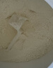 康比特（CPT）蛋白增肌粉 瘦人增肌增重 健身含乳清蛋白粉 3200g椰香奶茶味 实拍图