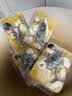 海文铭福州正宗金汤辽参佛跳墙250g*5份中秋礼品加热即食鲍鱼海参预制菜 实拍图