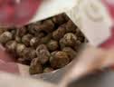 展艺 免煮珍珠粉圆500g*2 烧仙草波霸奶茶水果捞甜点饮品商用原料 实拍图