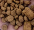 伟嘉幼猫猫粮夹心粮 全价粮1.2kg海洋鱼味 布偶蓝猫橘猫英短猫咪 实拍图