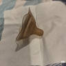 世喜乳盾新生儿0-3个月双层奶盾防咬保护罩单支超软 包装迭代随机发货 实拍图