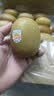 佳沛（zespri）新西兰 阳光金果18粒超大果原箱单果175-204g 猕猴桃水果礼盒 实拍图