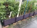 原起点阳台楼顶种菜箱长方形蔬菜种植箱神器种菜盆菜箱塑料花箱户外 加深2联箱 100*40*35cm 实拍图