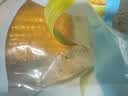 【轻糖低负】日式红豆双拼面包（青稞红豆+低糖红豆）6个/510g 实拍图