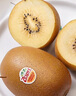 佳沛（zespri）新西兰阳光金果10个装单果重约103-114g 水果礼盒 猕猴桃 实拍图