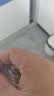 沃色锁精环包皮阻复环龟头套情趣用品夫妻床上助爱工具延时环2026新款 实拍图