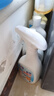 老管家家用除霉剂500ml*2墙面霉斑去霉斑霉菌清洁剂除霉剂 实拍图