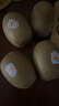 佳沛（zespri）新西兰阳光金奇异果巨大果22粒原箱单果146-175g 猕猴桃水果礼盒 实拍图