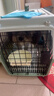 腆宠  宠物航空箱大号 猫咪航空箱猫狗 猫包猫笼外出车载猫箱狗狗托运 实拍图
