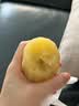 佳沛（zespri）新西兰阳光金奇异果10粒巨大果单果146-175g 猕猴桃水果礼盒 实拍图