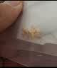 中国黄金（CHINA GOLD）黄金耳钉女士999足金雪花耳钉一对生日中秋节礼物送女朋友老婆 【京速达】足金耳钉约0.8g【甄选礼盒】 实拍图