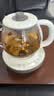小熊（Bear）煮茶壶喷淋式煮茶器 小型一人蒸茶壶养生壶 迷你养生烧水壶 1升 ZCQ-H10D1 实拍图