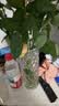 墨斗鱼教师节礼物玻璃花瓶透明水养培鲜花玫瑰百合客厅插花摆件冰纹直筒 实拍图