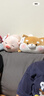 名创优品（MINISO）趣味阿柴弹力超柔趴姿公仔毛绒玩偶儿童玩具抱枕靠枕生日礼物女 实拍图