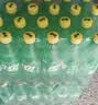 可口可乐（Coca-Cola）雪碧 Sprite 无糖零卡 汽水 碳酸饮料 500ml*24瓶 整箱装 实拍图