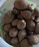 同仁堂品牌 【生日珍礼】罗汉果120g 可搭胖大海非中药材送老人礼物 实拍图