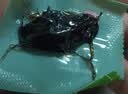 京东京造九制黄精500g 即食九蒸九制茶中药材滋补养生男女肾茶饮小袋 实拍图