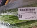 西芹1kg 实拍图
