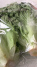 罗马生菜约500g 实拍图
