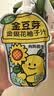 金豆芽金银花柚子汁限定礼盒儿童果汁夏天饮料100ml*22袋 实拍图