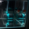 创宁水陆两用变频水泵静音过滤循环潜水泵CN9500-13W 10档流量调节 实拍图