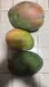 四川攀枝花 青黄皮 凯特芒果 新鲜小热带水果应当季现摘甜心芒 单果200g+（带箱5斤净重4.5斤） 实拍图