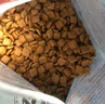 冠能猫粮 成猫猫粮鸡肉味10kg 全价猫粮 稳固免疫【宠物金选】 实拍图