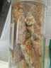 原味少糖芝麻花生酥500g手工花生酥糖芝麻糖四川特产零食老式小吃 【1罐】花生酥500g 实拍图