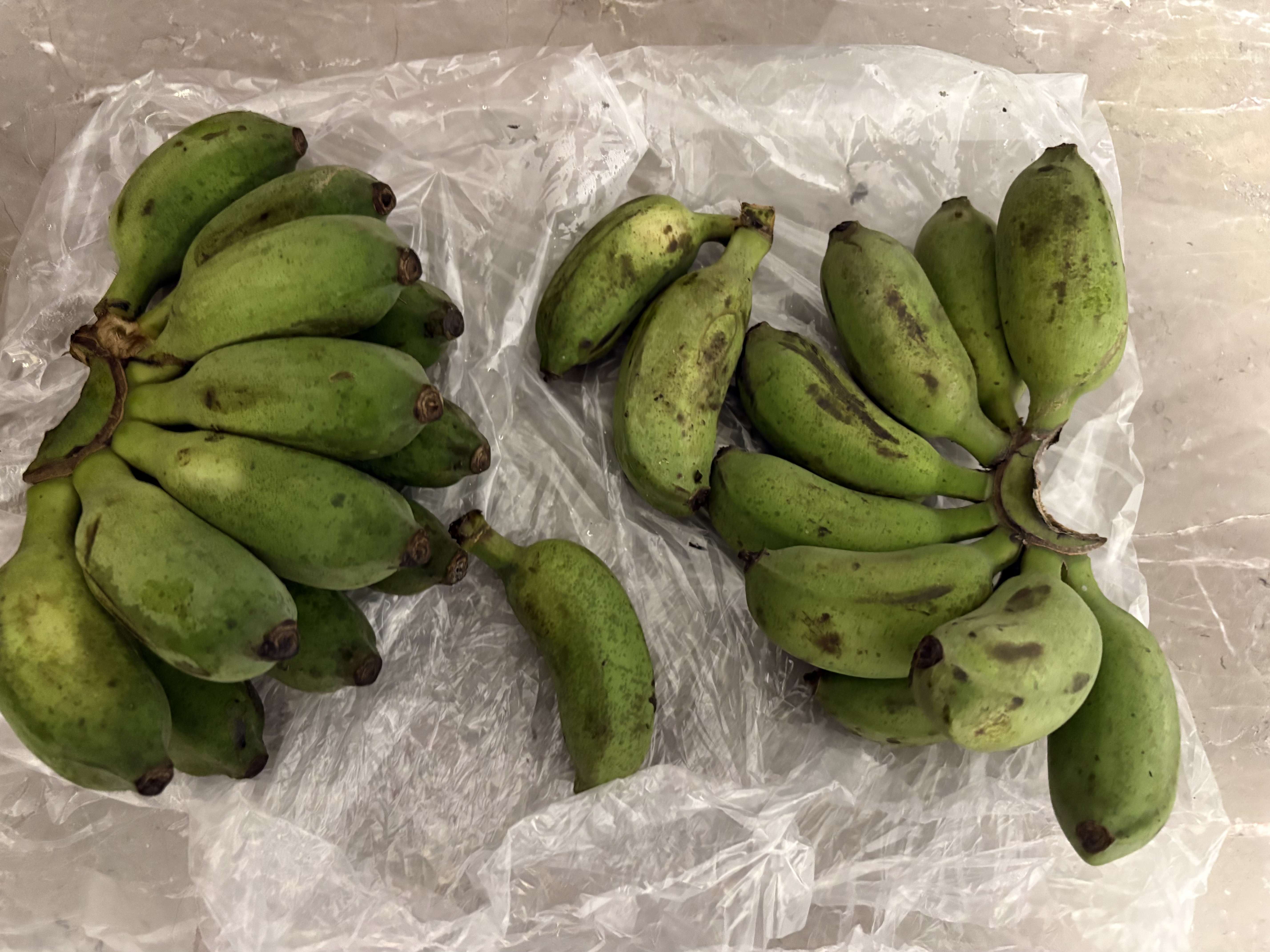 正宗广西小米蕉当季新鲜水果万澄装自然熟小香蕉现摘现发产地直发 【带箱3斤】小米蕉 实拍图