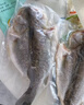 三都港 三去黄花鱼500g/3条装小黄鱼 深海鱼生鲜鱼类 烧烤食材 中秋海鲜 实拍图