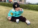 飞鹤臻爱倍护超级飞帆3段 幼儿配方奶粉(1-3岁)900g*6 乳铁蛋白28天 实拍图