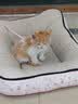 喵梵思白袋子冻干猫粮全价营养鸡肉幼猫成猫全阶段通用主粮营养长肉 4.1金边营养1.5kg【40%粗蛋白】 2个月及以上 实拍图