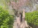 欧迪惠（Oudihui）新中式轻国风吊带连衣裙子2026夏季新款衣服女装早秋穿搭三件套装 开衫+吊带+半身裙 M 实拍图