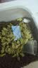 网易严选猫用薄荷饼干宠物幼猫成猫猫咪零食饼干薄荷味 95克 实拍图