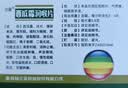 三金西瓜霜润喉片0.6g*36片 牙龈肿痛 咽喉肿痛 口舌生疮 口腔溃疡用药 实拍图