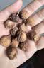 西域美农 无花果干500g 自然原色无花果 可做休闲零食即食泡水滋补煲汤 实拍图