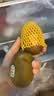佳沛（zespri）新西兰阳光金奇异果 8个装 特大果单果重约124-146g 水果猕猴桃 实拍图